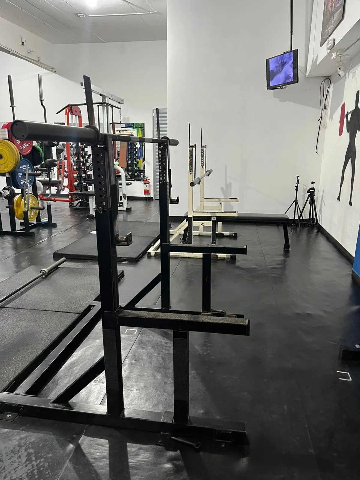 WhatsApp Image 2026-02-13 at 20.47.08