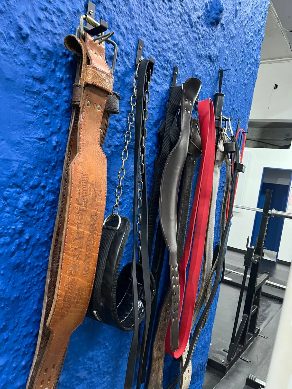 WhatsApp Image 2026-02-13 at 20.47.14