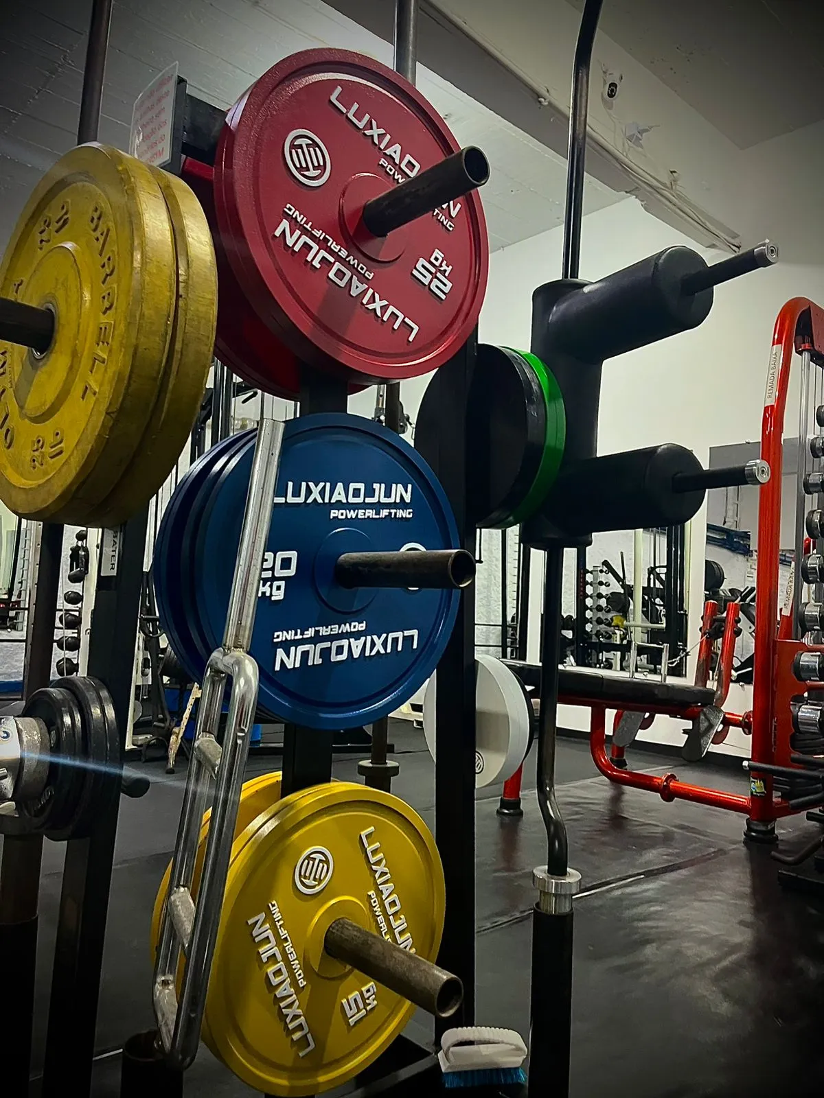 WhatsApp Image 2026-02-13 at 20.48.14